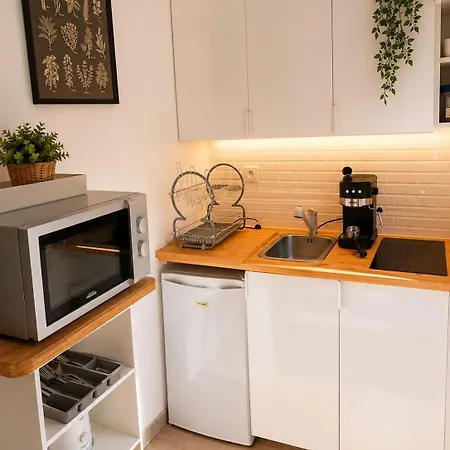 La Parenthese Revol Gem Europole Gare Miniatec Appartement